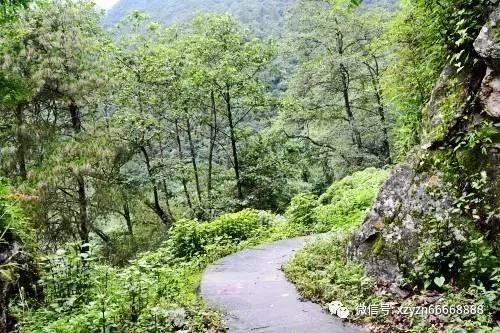 情深意切!安菲尔德克洛普赞歌歌词:爱上他的感觉真好